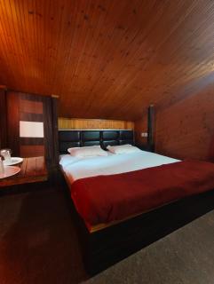 Havemore luxury stays - Solan - 4