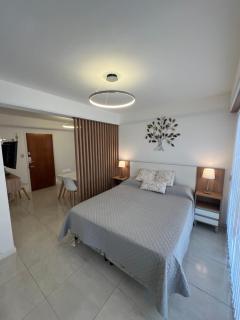 Bellísimo monoambiente céntrico - Mar del Plata - 9