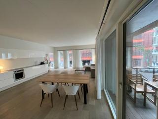 Nordhavn Luxury penthouse - Copenaghen - 7