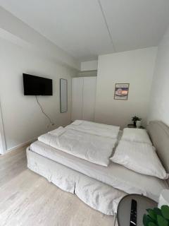 Nordhavn Luxury penthouse - Copenaghen - 3