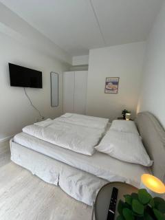 Nordhavn Luxury penthouse - Copenaghen - 1
