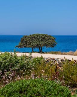 Sunset Studios & Rooms - Antiparos Stad - 5