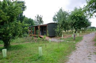 Daisy-a romantic logcabin hiding amongst the trees - Stoke Canon - 3