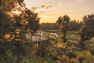 Lion Sands Narina Lodge - Sabi-Sand-Reservat - 0