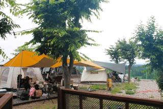 Campground full of stars - Seongju - 1
