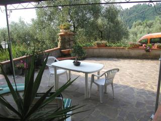 Casina del Monte a Monte in Pescia - 3
