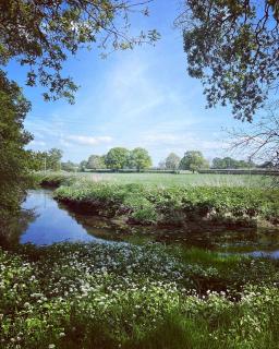 Little Brook Glamping - Salfords - 5