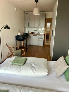 Rock For People Apartments, All inclusive, Free transport to Park 360 - Hradec Králové - 6