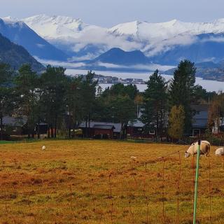 Romsdalseggen Camping - Isfjorden - 9
