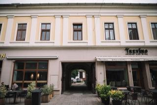 Casa Alecsandri -Ultra Central - Oradea - 6