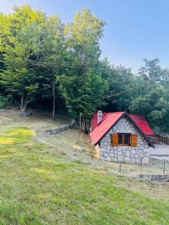 Montenegro Rustic House II -  - 5
