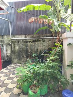 Share Hostel Fort Kochi - Cochin - 5