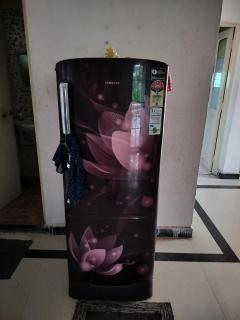 Share Hostel Fort Kochi - Cochin - 3