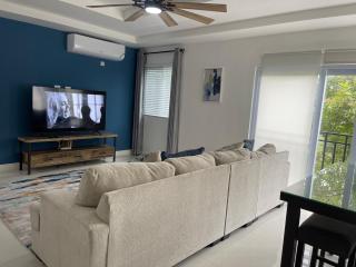 New Central 2 bed 2 bath Apartment with pool - Kingston - 0