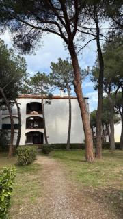 Beach cabin studio - 2