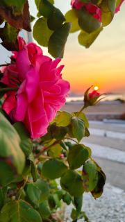 Agnanti View Hotel - Pachaina - 9