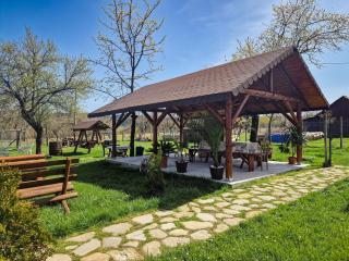 Pensiunea Cocoș - - 9
