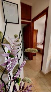 Apartman Paralia Dionisiou - Paralia Dionysiou - 4