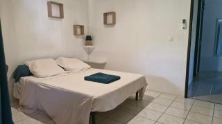 La maison verte - Cayenne - 9