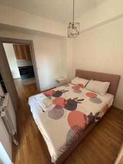 Mia's apartment in the city center - Skopje - 6