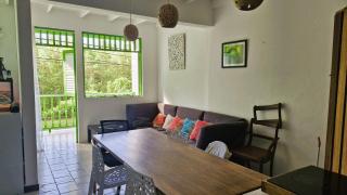 La maison verte - Cayenne - 1