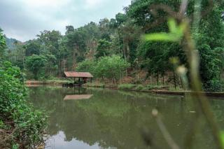 Secluza Resort - Chikmagalūr - 2
