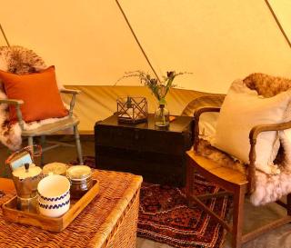 Cool Cow Glamping - Hope Cove - 6