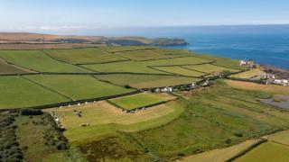 Cool Cow Glamping - Hope Cove - 5