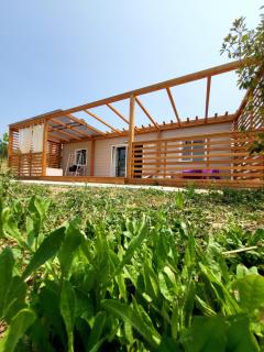VioVillas Agriturismo Glamping Arezzo - Arezzo - 4