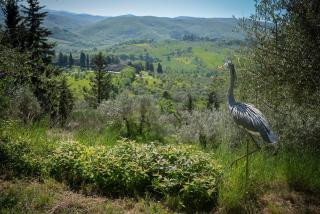 CASA DEGLI ULIVI - COTTAGE WITH SWIMMING POOL - Castellina in Chianti - 2