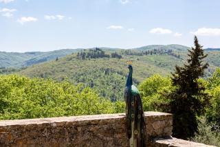 CASA DEGLI ULIVI - COTTAGE WITH SWIMMING POOL - Castellina in Chianti - 4