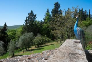 CASA DEGLI ULIVI - COTTAGE WITH SWIMMING POOL - Castellina in Chianti - 5