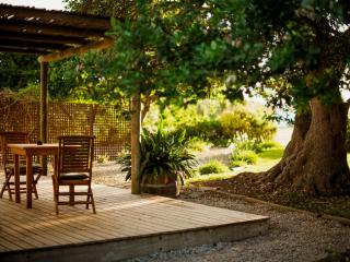 Springfontein Wine Estate - 3