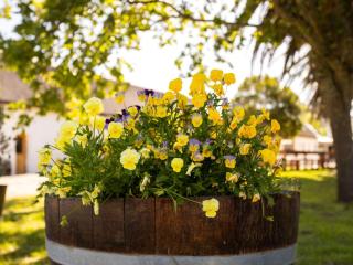Springfontein River Lodge - Stanford - 4