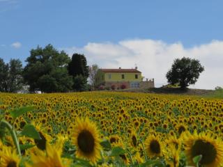 Casa in campagna la Roverella - Francavilla dʼEte - 6