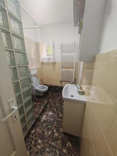 Predoi's Place - Sinaia - 8
