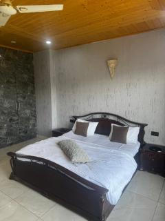 The Ivyview Villa Kumarhatti Barog Near Kasauli - Barog - 8