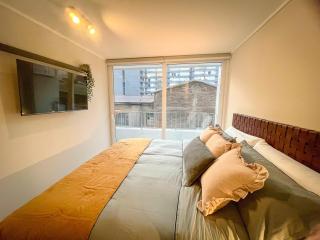 HOM I Departamento 1D1B Metro Santa Lucia 2PAX - Santiago - 9