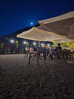 Artizan Chalet - Topliţa - 9