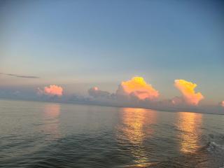 Florida style home near Barefoot Beach - Bonita Springs - 3