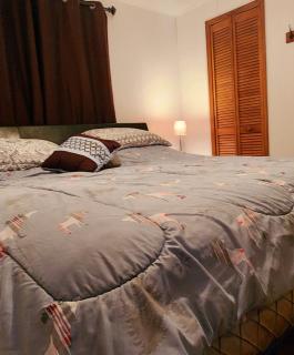 Duplex Mont Video - - 9