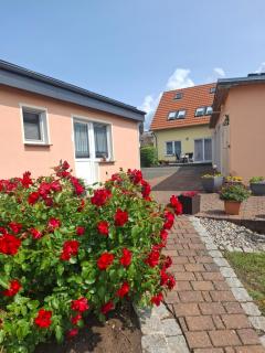 Achterwasser Blick - Ueckeritz - 9