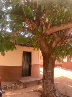 Trans Gambia guest house - - 0