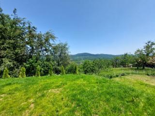 Yellow House - Comarnic - 6