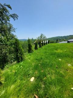 Yellow House - Comarnic - 5