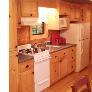 Cabin in the Woods-Peaceful 1BR 20-Acre Rural Retreat-HotTub&WiFi near Asheville - 8