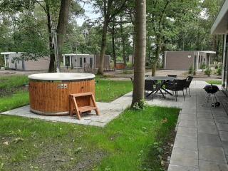 Boshuisje met hottub - Haarle - 3