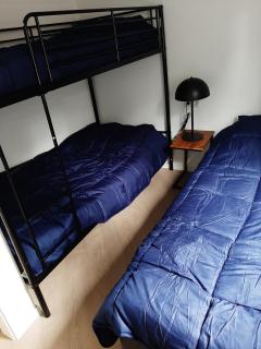 Boshuisje met hottub - Haarle - 2
