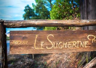 Podere le Sugherine - 7