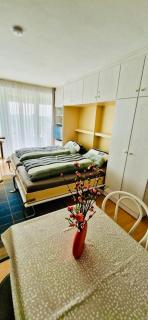 Ferienwohnung Niels im Hause Bergland Altreichenau - Neureichenau - 6